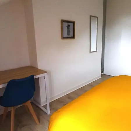 Histoire De Loire - La Toue Saumur