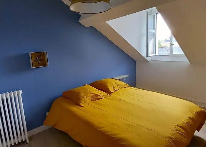 Guest house Histoire De Loire - La Toue *