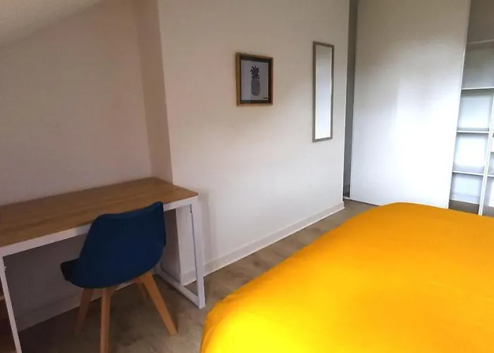 Histoire De Loire - La Toue Saumur