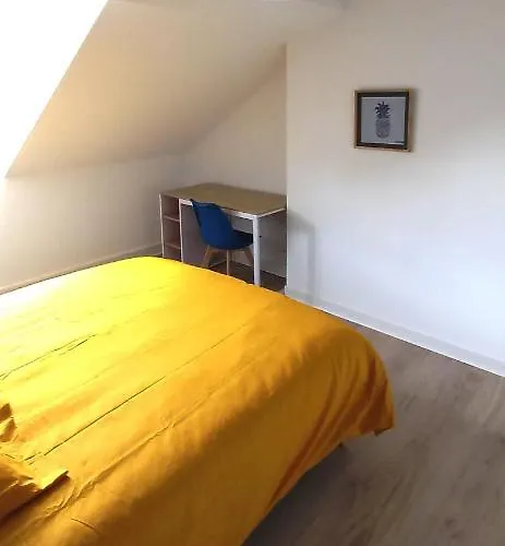 Guest house Histoire De Loire - La Toue *